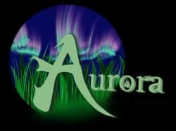 Aurora Lawn and Landscaping